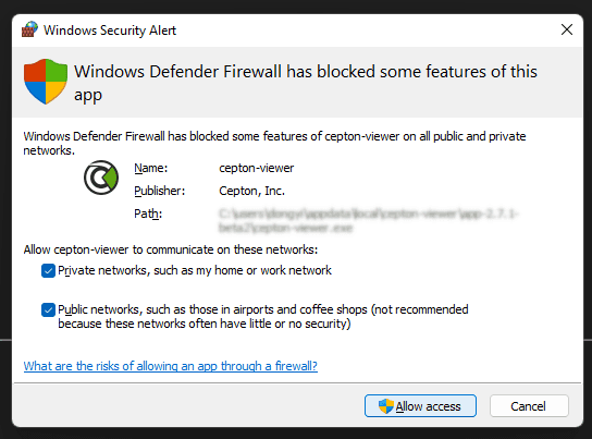 Windows firewall prompt